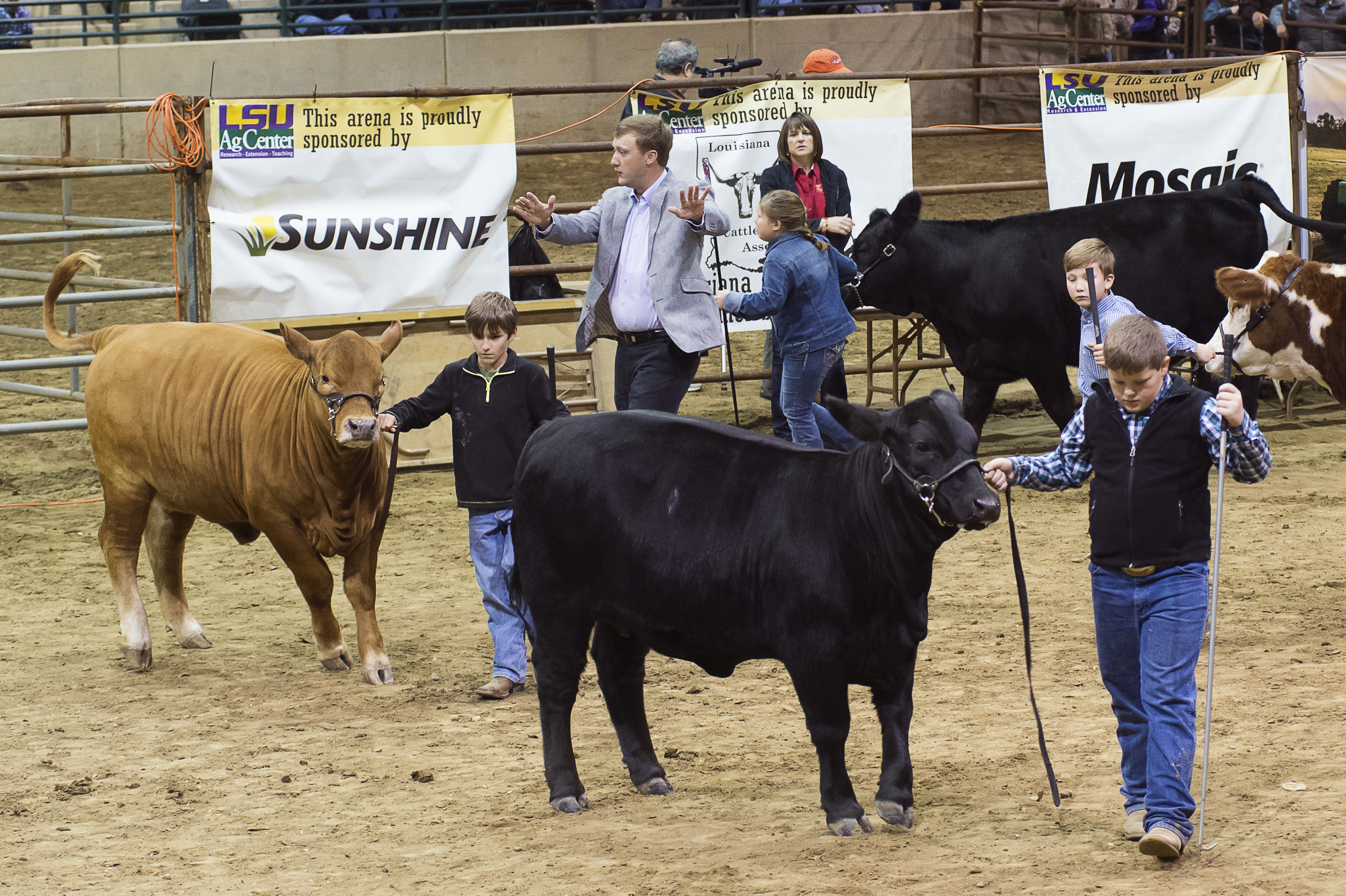 Louisiana youths named champions at 82nd Annual LSU AgCenter Livestock Show 